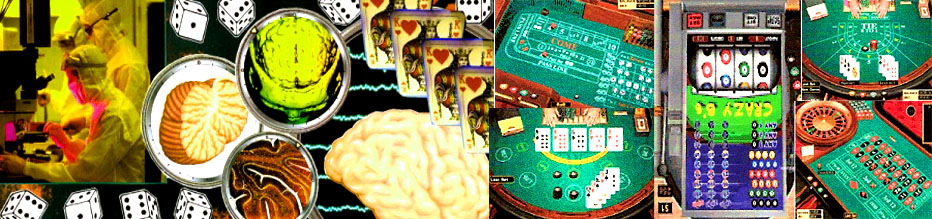 Ҷսʤĳ,ټ־ֲƷ,UCLAڣʮһƷ,,̲